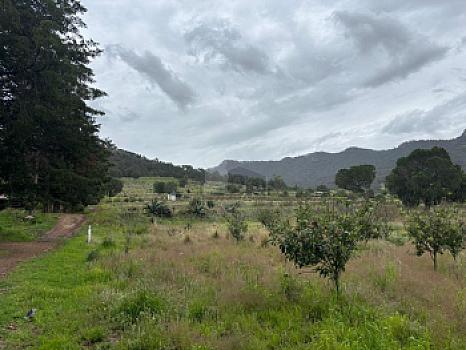 Terreno agrícola en sale en Tecomalucan, Tlaxco, Tlaxcala