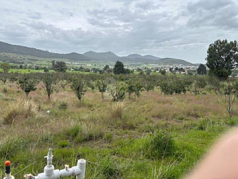 Terreno agrícola en sale en Tecomalucan, Tlaxco, Tlaxcala