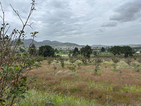 Terreno agrícola en sale en Tecomalucan, Tlaxco, Tlaxcala