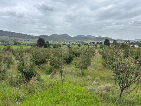 Terreno agrícola en sale en Tecomalucan, Tlaxco, Tlaxcala