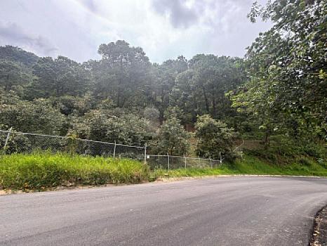 OCHO HECTAREAS DE TERRENO CON ARBOLES DE AGUACATE PRODUCIENDO
