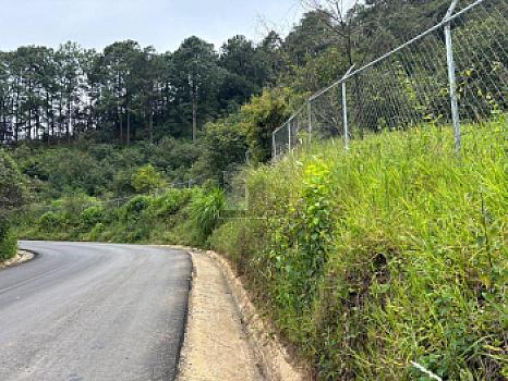 OCHO HECTAREAS DE TERRENO CON ARBOLES DE AGUACATE PRODUCIENDO