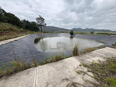 Terreno agrícola en sale en Tecomalucan, Tlaxco, Tlaxcala