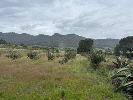 Terreno agrícola en sale en Tecomalucan, Tlaxco, Tlaxcala