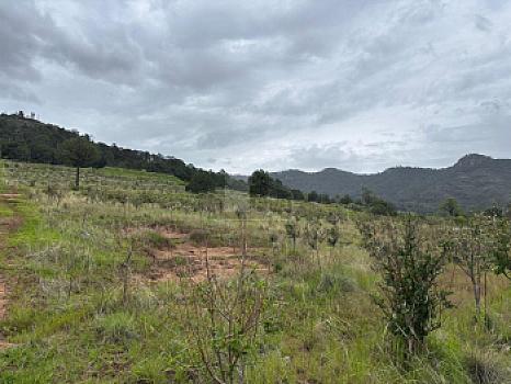 Terreno agrícola en sale en Tecomalucan, Tlaxco, Tlaxcala