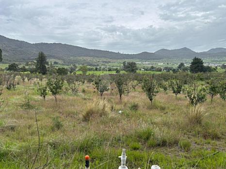 Terreno agrícola en sale en Tecomalucan, Tlaxco, Tlaxcala