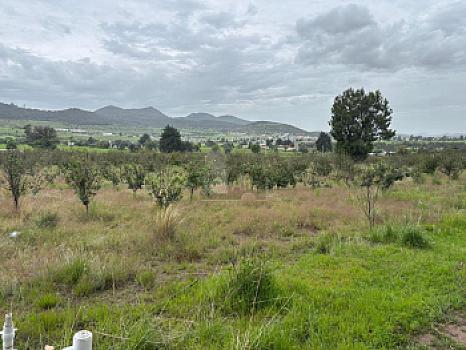 Terreno agrícola en sale en Tecomalucan, Tlaxco, Tlaxcala