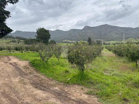Terreno agrícola en sale en Tecomalucan, Tlaxco, Tlaxcala