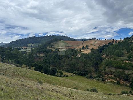Terreno en Venta Guadalupe Victoria, Pue.