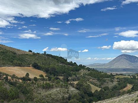 Terreno en Venta Guadalupe Victoria, Pue.