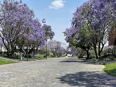Terreno en Venta en Arauca 2, Zapopan, Jalisco
