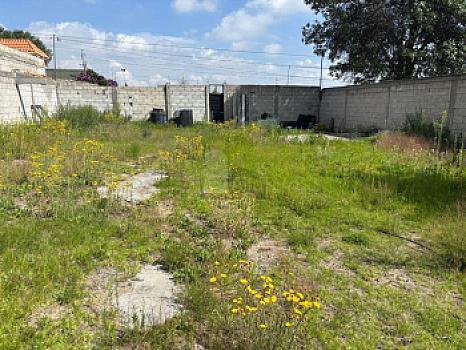 Property view 2