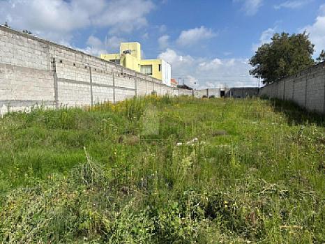 Property view 4