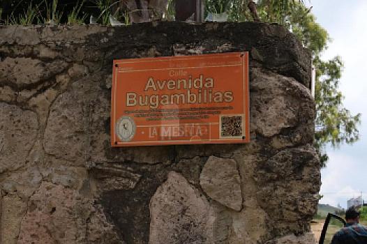 Terreno en venta en la mesita Zapopan 