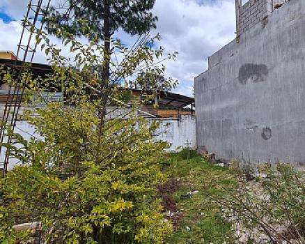 Property view 5