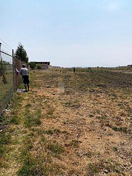 Property view 5