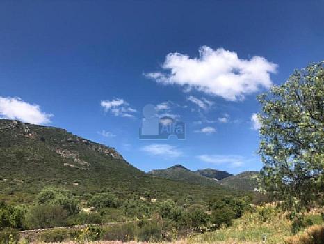 Property view 4