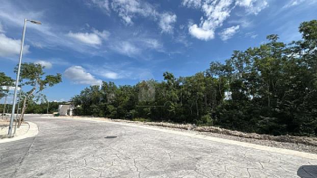 Property view 4