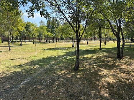 Residencia en campestre el paraiso, zavaleta, puebla
