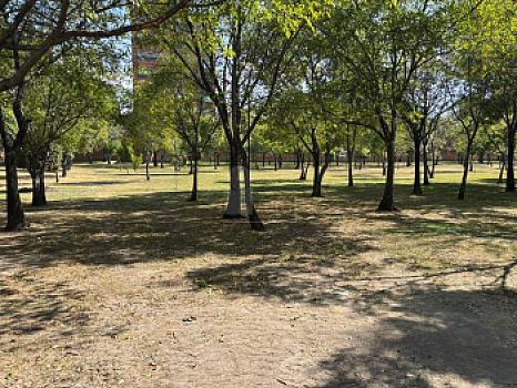 Residencia en campestre el paraiso, zavaleta, puebla