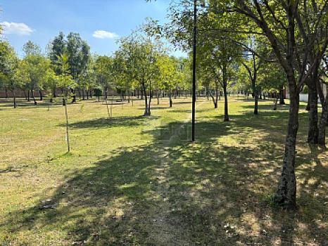 Residencia en campestre el paraiso, zavaleta, puebla
