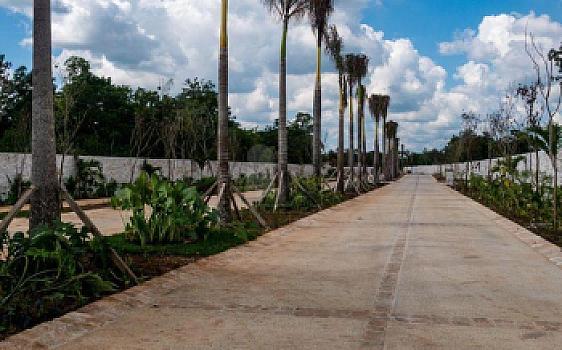 Terreno Residencial en Losantos Cancún – 308 m² | Amenidades de Lujo y Alta Plusvalía