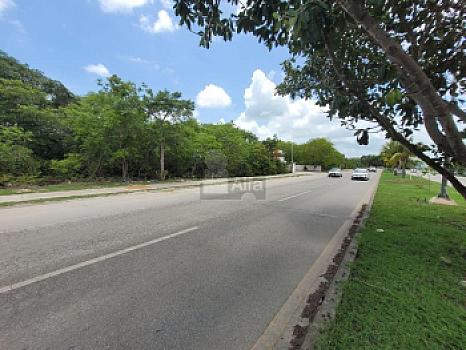 Property view 5