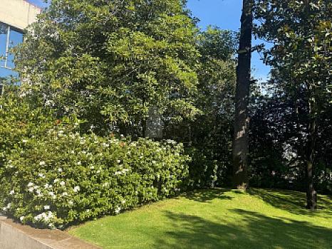 Property view 5