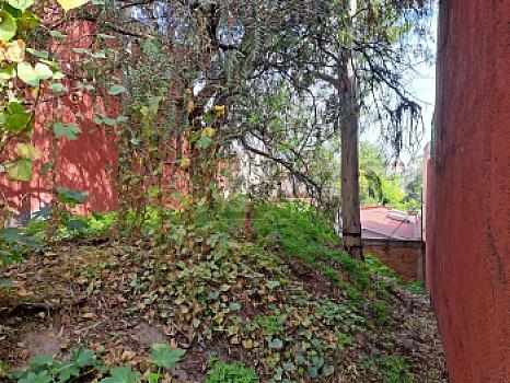 Property view 3