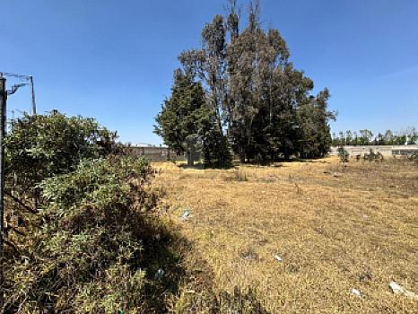 5,300 m2 escriturados a 4 min de galerías metepec