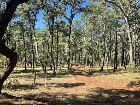 Property view 5