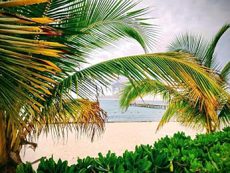Departamento en venta Puerto Morelos, Quintana Roo
