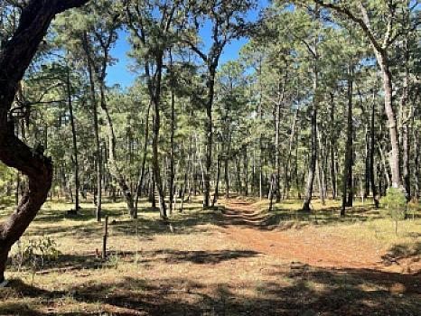 Property view 3