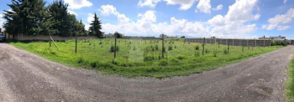 Property view 4