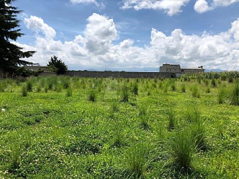 Terreno en Venta en Metepec