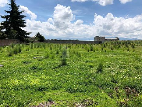 Terreno en Venta en Metepec