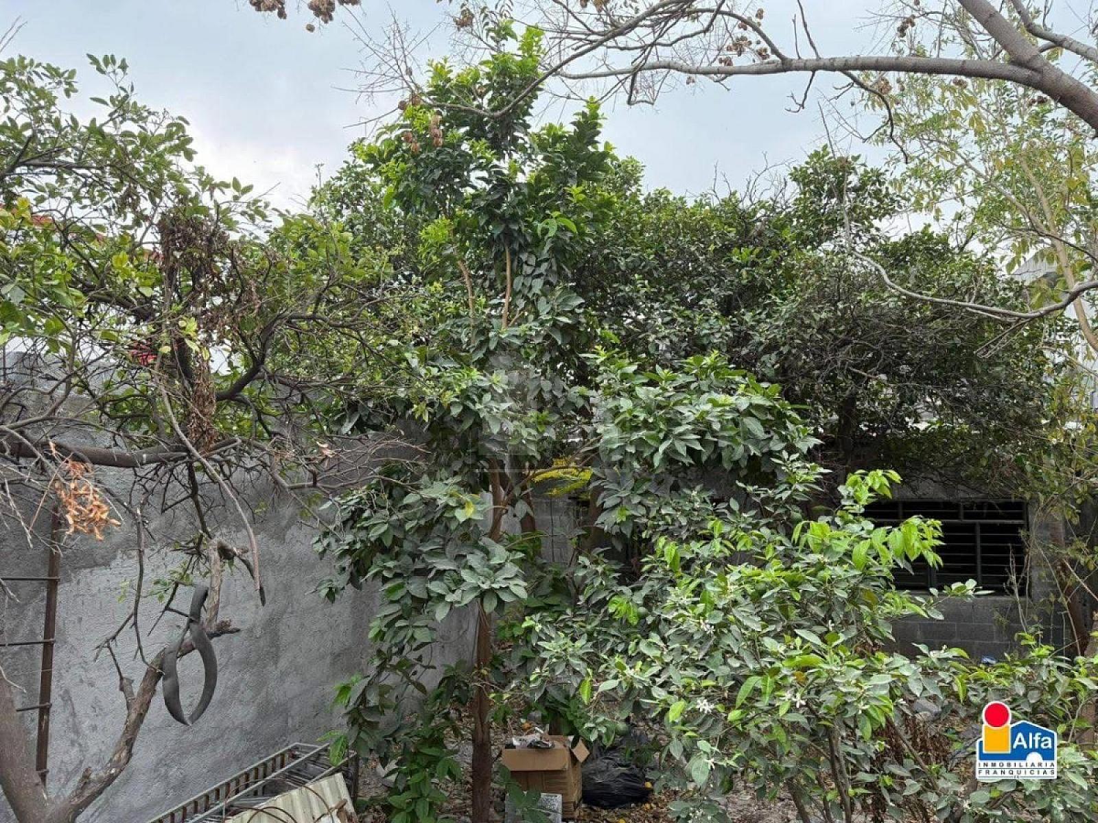 Property view 2