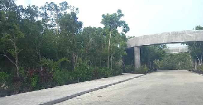Property view 4