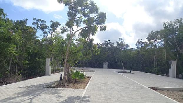 Property view 5