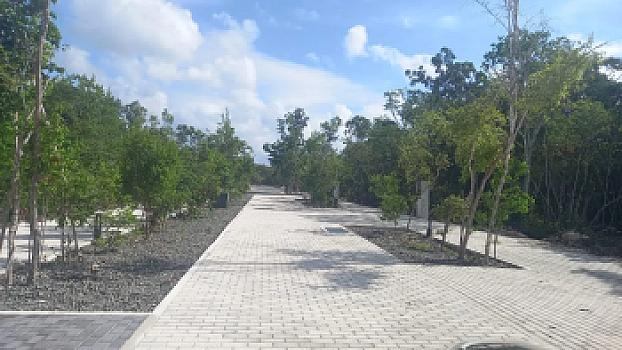 Venta de Terreno Habitacional en Fraccionamiento en Región 15