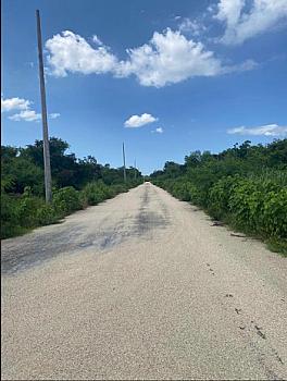 Vista de la propiedad 2