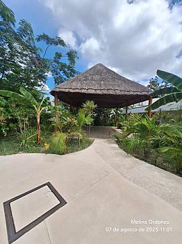 Departamento amplio en Tulum con terraza y jacuzzi en The Waves