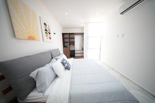 Exclusive 1-bedroom apartment in Zona Diamante