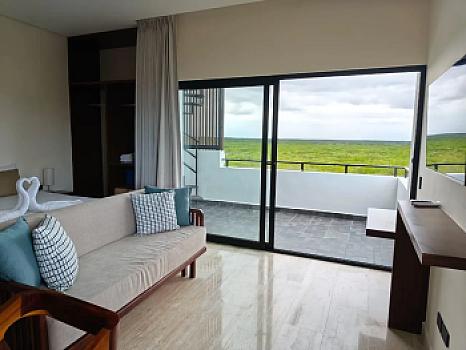 Property view 5