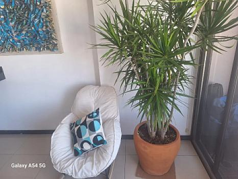Departamento de 100m² con Alberca en Marina Mazatlán
