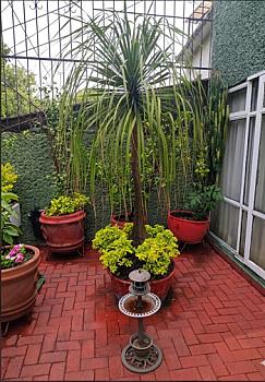 Casa Residencial con 451m2 en venta, Lomas de San Angel Inn