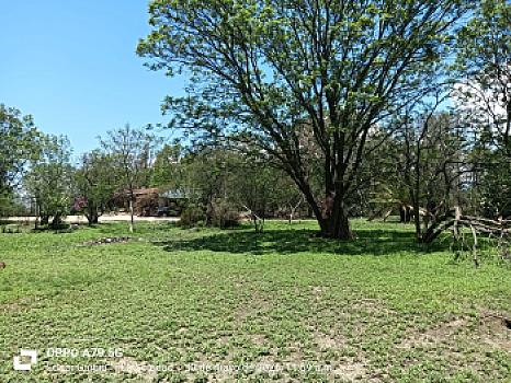 Vista de la propiedad 4