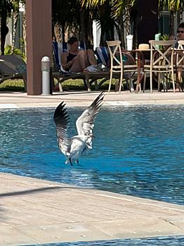 Vista de la propiedad 2