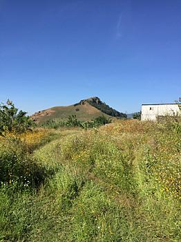 AGRICULTURAL AND ECOTOURISM LAND FOR RENT IN NEPOPUALCO MORELOS