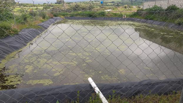 AGRICULTURAL AND ECOTOURISM LAND FOR RENT IN NEPOPUALCO MORELOS